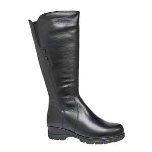 FRANCESCO DONNI [99866]